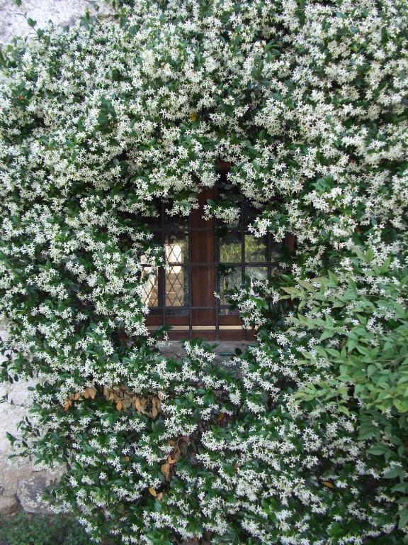 Agriturismo Cascina Rossano Provaglio d'Iseo Exterior foto