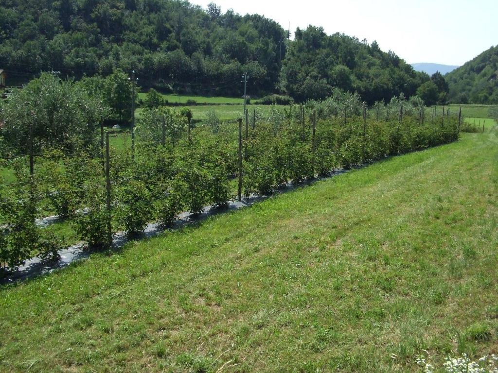 Agriturismo Cascina Rossano Provaglio d'Iseo Exterior foto